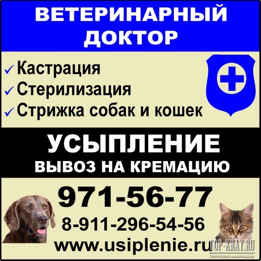 Ветеринарная Аптека Великие Луки Адреса И Телефоны