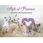 Питомник британских кошек Style of Provence