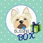 Bussina_box 