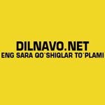 Dilnavo.net