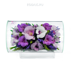 Цветы в стекле: Композиция из орхидей (арт.TLO2) (51182)