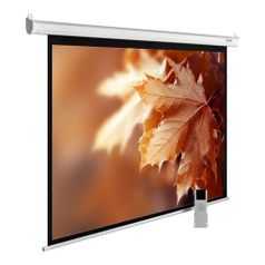 Экран Cactus MotoExpert CS-PSME-300x188-WT, 300х188 см, 16:10, настенно-потолочный белый (1019814)