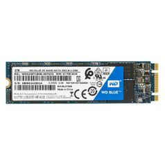 SSD накопитель WD Blue WDS200T2B0B 2ТБ, M.2 2280, SATA III (1015922)