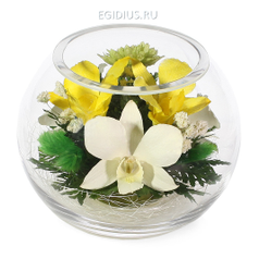 Цветы в стекле: Композиция из роз и орхидей (13538)