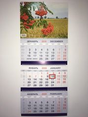Календарь квартальный на 2020 год «Природа 12» (ТРИО Большой) (311)