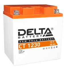Аккумулятор Delta Battery CT1230 (45210)