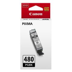 Картридж Canon PGI-480 PGBK, черный / 2077C001 (1010554)