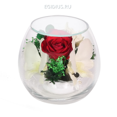 Цветы в стекле: Композиция из роз и орхидей (19589)