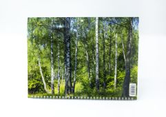 Календарь квартальный на 2020 год «Природа 3» (ТРИО Большой) (326)