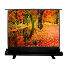 Экран Cactus FloorExpert CS-PSFLE-200X150, 200х150 см, 4:3, напольный (1070257)