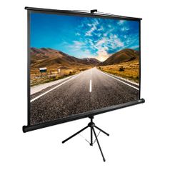 Экран Cactus TriExpert CS-PSTE-160x160-BK, 160х160 см, 1:1, напольный черный (1019816)
