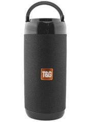 Колонка T&G TG-113C Black (830883)