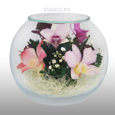 Цветы в стекле: Композиция из натуральных орхидей. (6496)