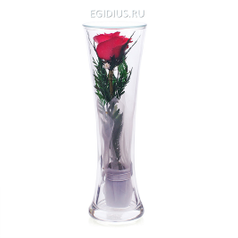 Цветы в стекле: Композиция из красной розы  (13134)