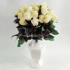 Розы белые (51) (63s114)