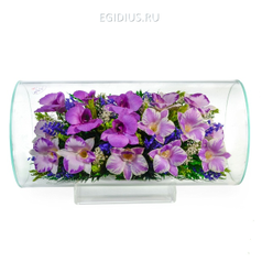 Цветы в стекле: Композиция из орхидей (арт. TJO5) (51193)