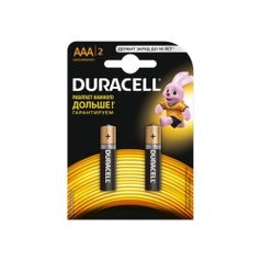 AAA Батарейка Duracell Basic CN LR03-2BL MN2400, 2 шт. (1064272)