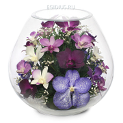 Цветы в стекле: Композиция из орхидей (13225)