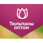 Тюльпаны оптом