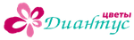Диантус Уфа
