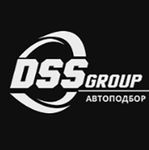 DSS Group
