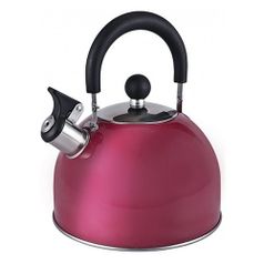 Металлический чайник ENDEVER 302, 3л, бордовый [80478] (1098890)