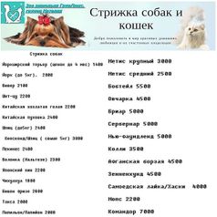 Стрижка собак и кошек всех пород