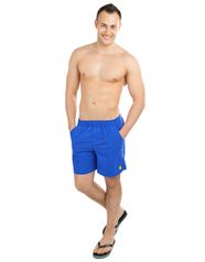 Мужские пляжные шорты Solids (10014835)