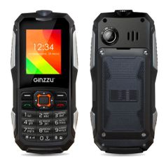 Сотовый телефон Ginzzu R50 Black (416700)