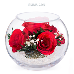 Цветы в стекле: Композиция из натуральных роз. (6497)