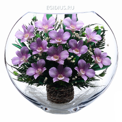 Цветы в стекле: Композиция из натуральных орхидей. (6546)