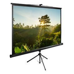 Экран Cactus TriExpert CS-PSTE-200x200-BK, 200х200 см, 1:1, напольный черный (1019974)