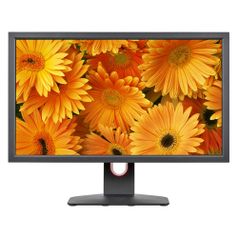 Монитор игровой BenQ Zowie XL2411K 24" серый [9h.ljplb.qbe] (1432382)