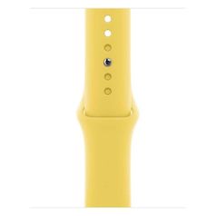 Ремешок Apple Sport Band для Apple Watch Series 3/4/5/6/SE имбирный (MGQR3ZM/A) 40мм (1419065)
