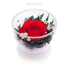 Цветы в стекле: Композиция из красной розы  (13125)