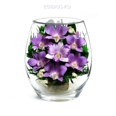 Композиция из орхидей (арт. EHO1) в подарочной упаковке (51159)
