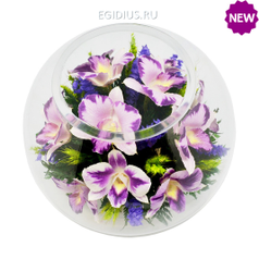 Цветы в стекле: Композиция из натуральных орхидей (23918)