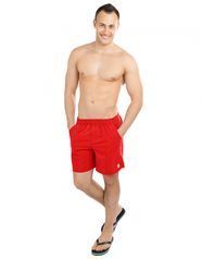 Мужские пляжные шорты Solids (10019140)