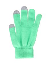 Теплые перчатки для сенсорных дисплеев Activ Green 124445 (792151)