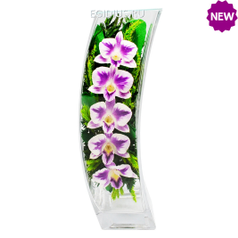 Цветы в стекле: Композиция из натуральных орхидей (23924)