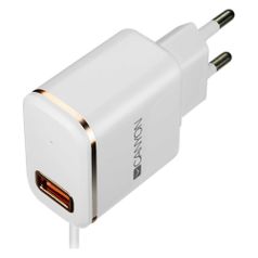 Сетевое зарядное устройство Canyon CNE-CHA043WR, USB, 8-pin Lightning (Apple), 2.1A, белый (1364717)