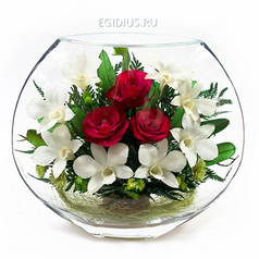 Цветы в стекле: Композиция из натуральных роз и орхидей  (6527)