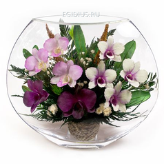 Цветы в стекле: Композиция из натуральных орхидей (22378)
