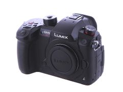 Фотоаппарат Lumix DC-GH5S Body (528374)
