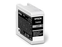 Картридж Epson T46S Light Grey C13T46S900 для SC-P700 (842229)