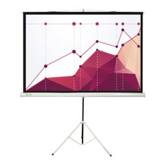 Экран Cactus Triscreen CS-PST-180x180, 180х180 см, 1:1, напольный белый (359024)