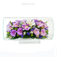 Цветы в стекле: Композиция из орхидей (арт. TJO8) (51194)