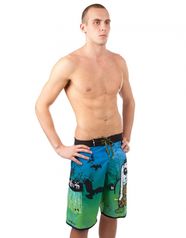 Мужские пляжные шорты NORTH STUFF II (10013079)