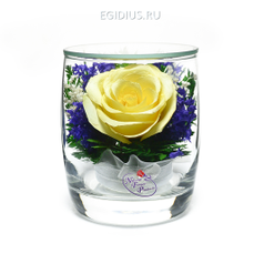 Цветы в стекле:Композиция из натуральных роз (арт. SMRc) в подарочной упаковке (28370)