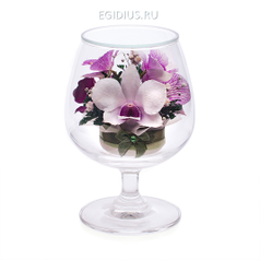 Цветы в стекле: Композиция из натуральных  орхидей (13135)